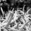 역곡한의원 이미지