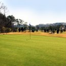 신안골프 이미지