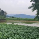 외장포경로당 네이버블로그