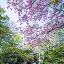 삼풍농장 이미지