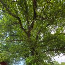 주동마을회관 이미지