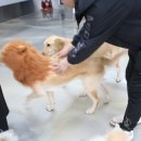 프로네앞마당 이미지