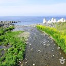 해변약국 이미지