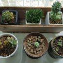 수봉농원 이미지