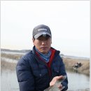 대호만낚시터 Daum카페