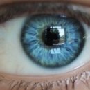 한국어의미론 이미지