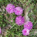 수락폭포 펜션 이미지