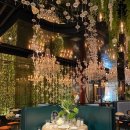 디라이프 이미지