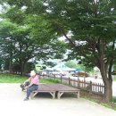 나무숲펜션 이미지