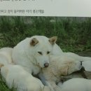 병우농장 이미지