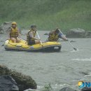 동해-단속-17 이미지