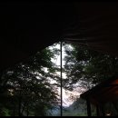 청송자연휴양림 이미지