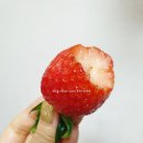 윤청과
