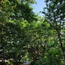 제1체육공원 이미지