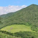 곰배령화원 이미지