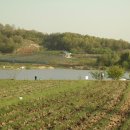 아곡낚시터 이미지