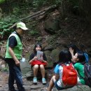 호평초등학교 이미지