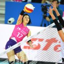 흥국생명 이미지