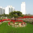 용소웰빙공원 이미지