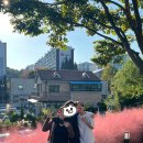 완산골마트