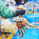 제일건어물&농수산물 | 가락시장 대게 맛집 수산시장 시간 가락몰 놀부수산 모듬회 횟집