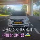 이브농장 | 나트랑 택시 시내투어 및 공항 픽업 현지 업체 코이팜 추천 그랩 인드라이브 비교