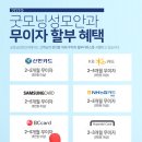 성모안과 이미지