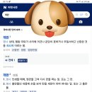 제이와이피