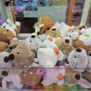 대빵오락실 노래연습장 구미점 이미지