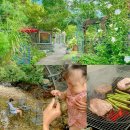 타샤의정원 | 가평 4인 숙소 추천 물놀이 계곡 타샤의 정원 서울근교펜션 아이랑 애견동반