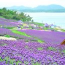 일렁이는 이미지