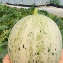 백옥농장 이미지