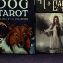 전생에인연펫 이미지