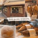 던잉베이크샵 | 종암 던잉베이크샵 Dawning bakeshop 성북구 빵 맛집