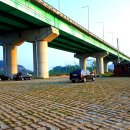 양섬야구장화장실 이미지