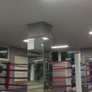 전일 복싱클럽 이미지