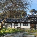 수선화미소