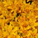 호림농장 이미지