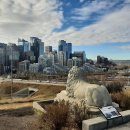 다운타운 이미지