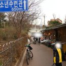 굴다리청과