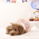 와르동물병원 이미지