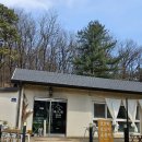 지에스25 안성원곡오투점 | 24년도 3월 넷째 주♥ 하루하루 소중해✨️ 묵묵히 기다려준 고마운 친구들🩷