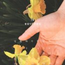 물결사진관 - 전주시 완산구 현무1길 11-1 | 물결사진관