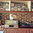 자매의하루 이미지