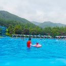 양평 한화리조트 네이버블로그
