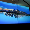 용비디오 이미지