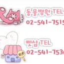 새롬애견 이미지