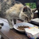 산업로1-1 이미지