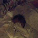 지우약국 이미지