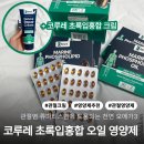 코루레(Korure) 이미지